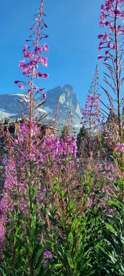 Maison Meynet Mountain Charm Breuil-Cervinia Ngoại thất bức ảnh